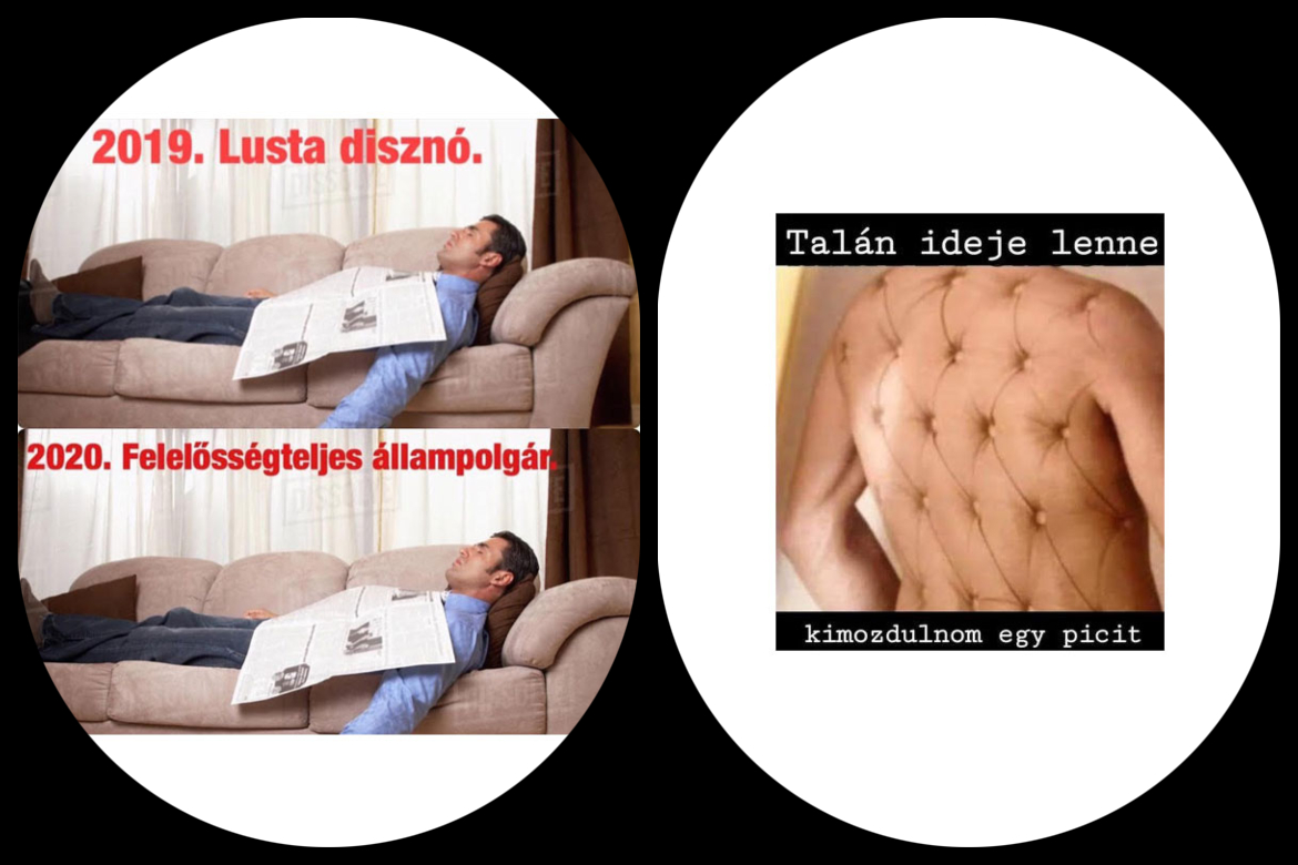 7 collage 1 b
