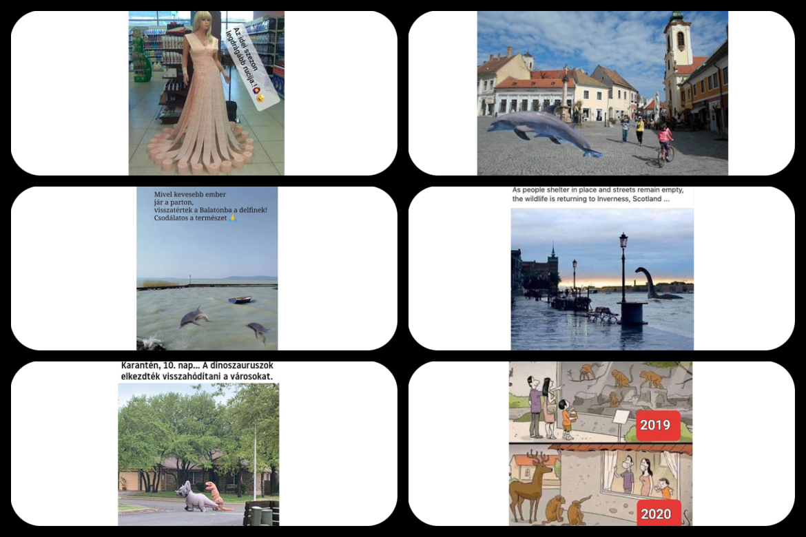 7 collage 4 b