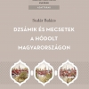 Sudár Balázs: Dzsámik és mecsetek a hódolt Magyarországon