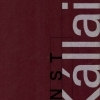 Kállai, Ernst: Gesammelte Werke – Összegyűjtött írások 2. Schriften in deutscher Sprache 1920–1925